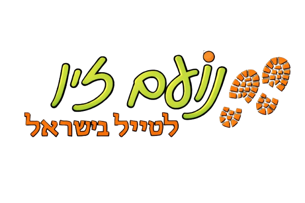נועם זיו