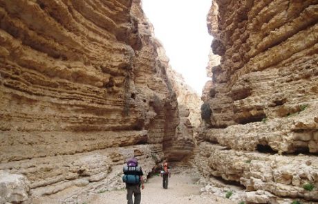 The Negev desert